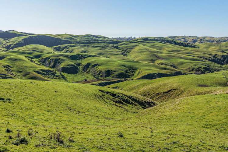 717k Puketitiri Road Puketapu_34