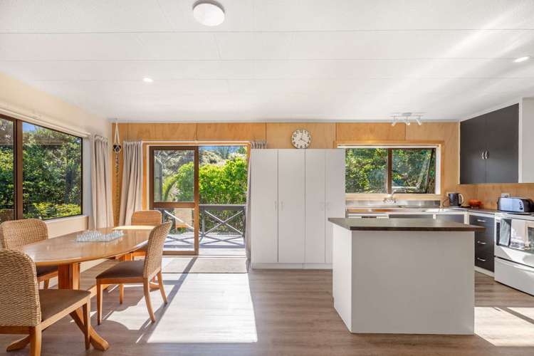 23 Punga Place Whitianga_11