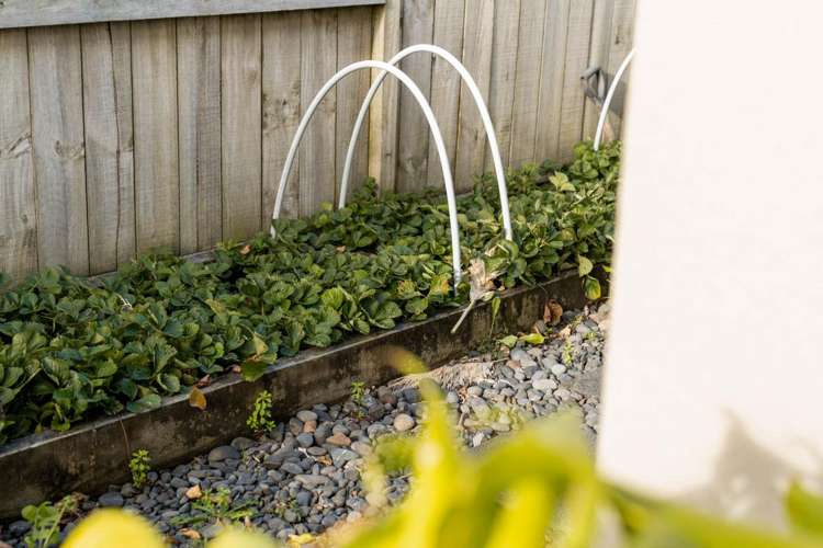 14 Waterford Park Drive Papamoa_23