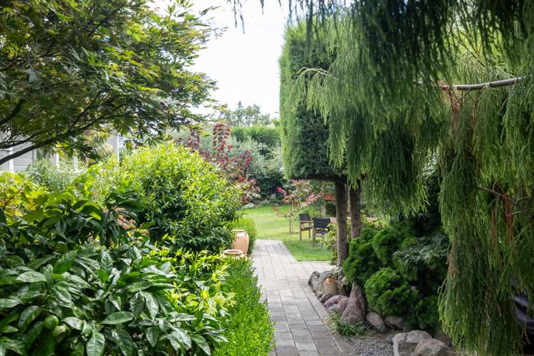 29 Cameron Road Bluff Hill_14