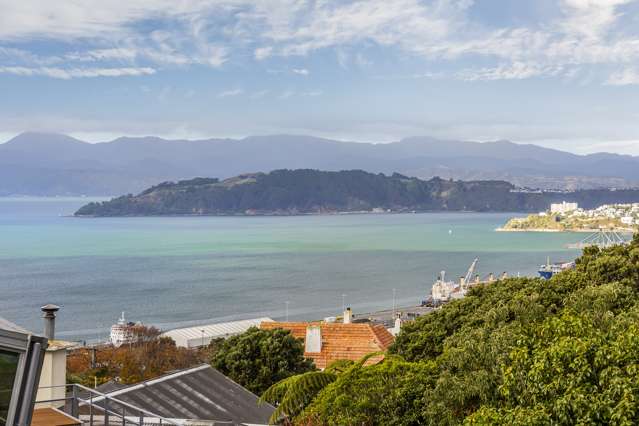 11 Wade Street Wadestown_1