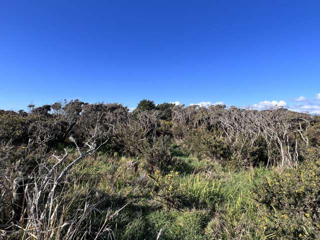 One Mile Line Road Hokitika_4