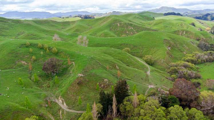 30 Mangahei Road Dannevirke_18