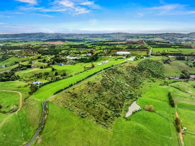 97 Runciman Road Pukekohe East_3