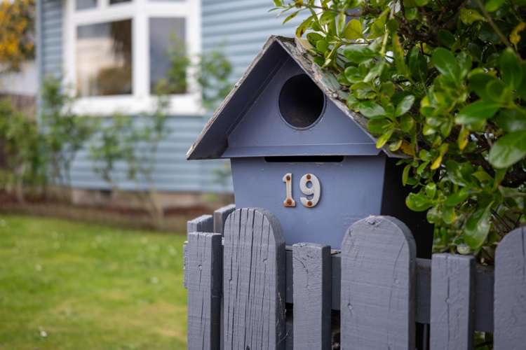 19 Gibbon Street Sydenham_17