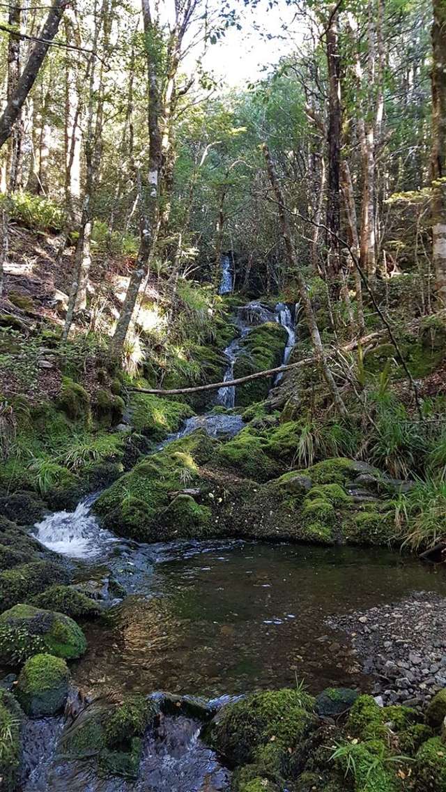 Brooklyn Valley Road Motueka_1