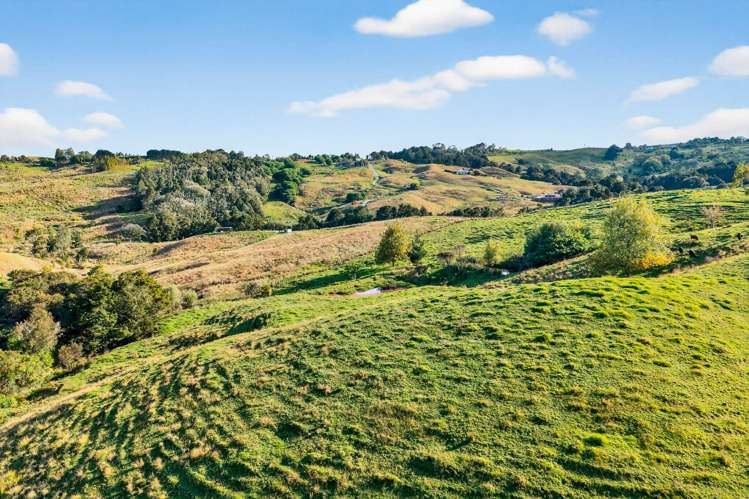 311 Franklin Road Paparoa_44