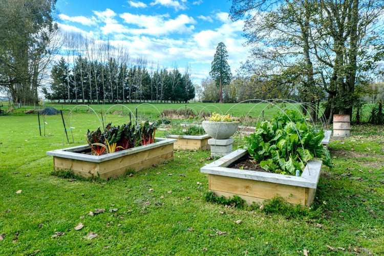 51 Tancred Street Geraldine_6