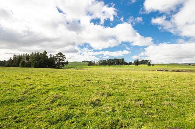 Lt 15 and 16 Matamau/Ormondville Road Dannevirke_3