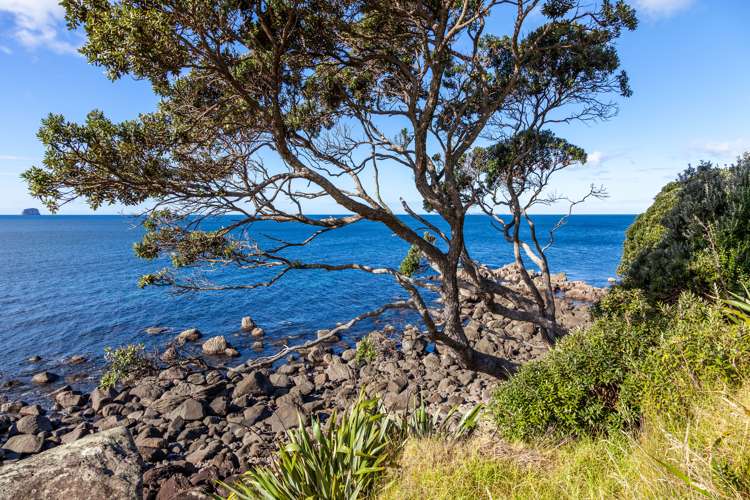 17 Pye Place Hot Water Beach_24