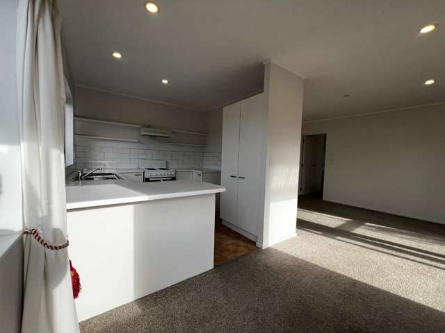 1a Romulus Place Totara Vale_3