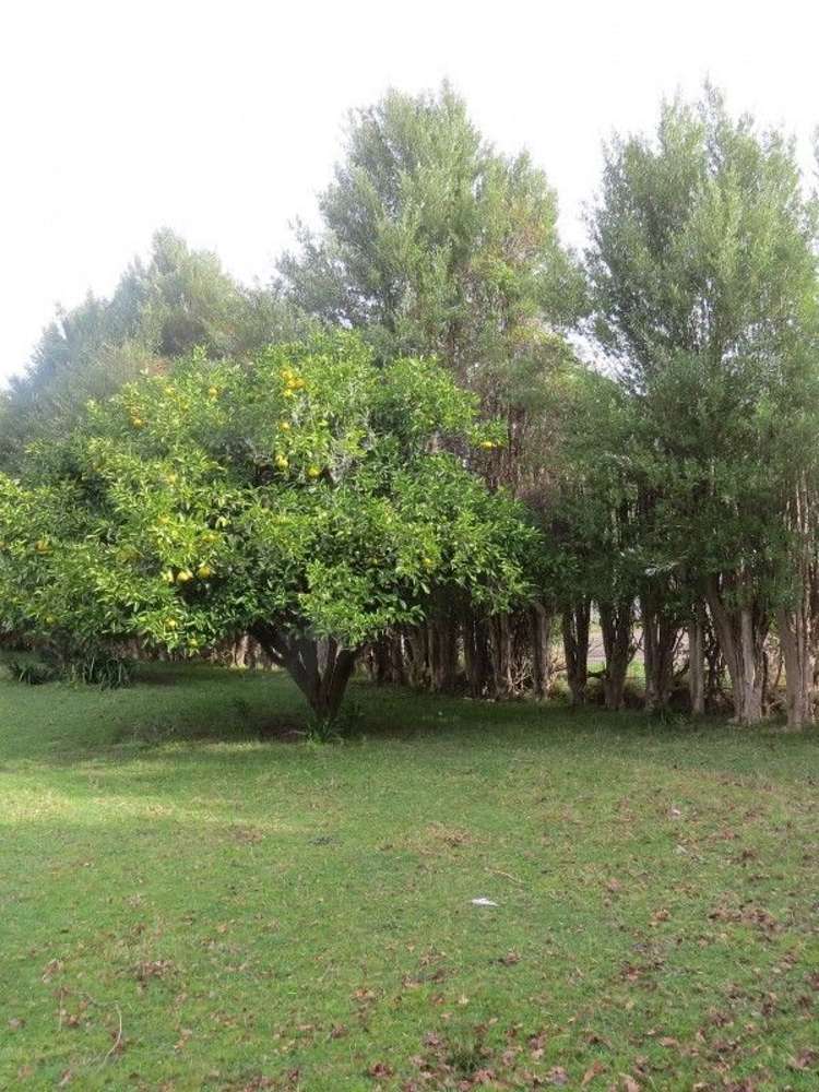 9 Churchill Street Pahiatua_17