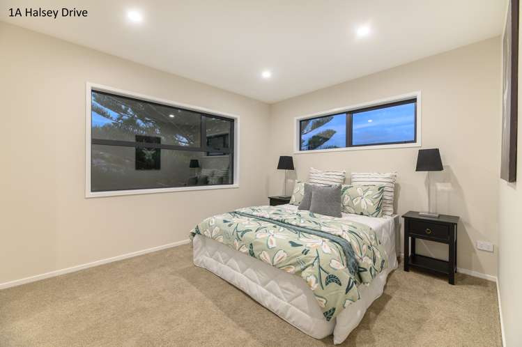 1a Halsey Drive Lynfield_18