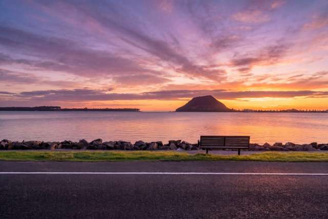 102 Harbour Drive Otumoetai_1