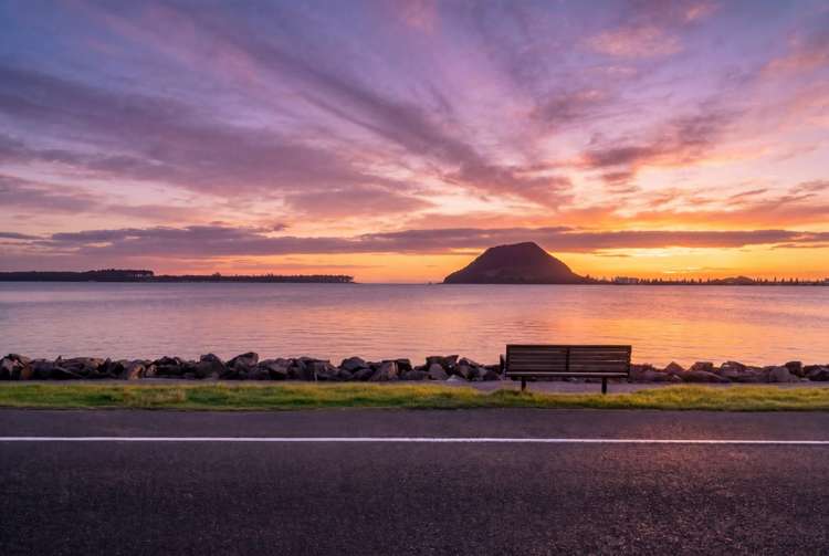 102 Harbour Drive Otumoetai_1