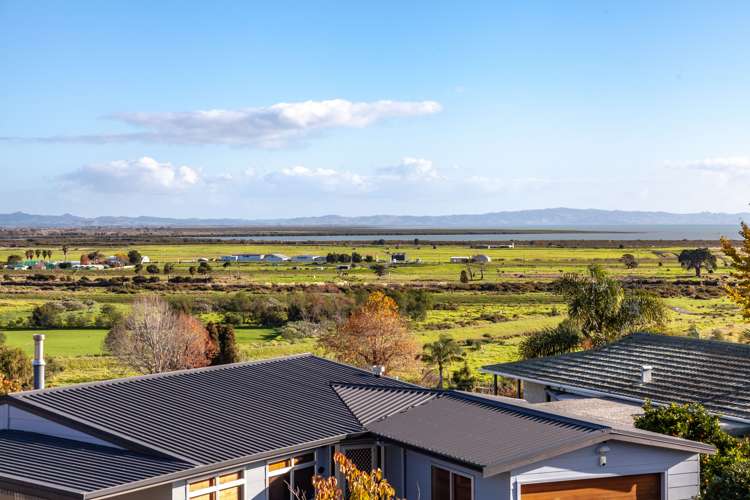 103 Logan Place Thames_1