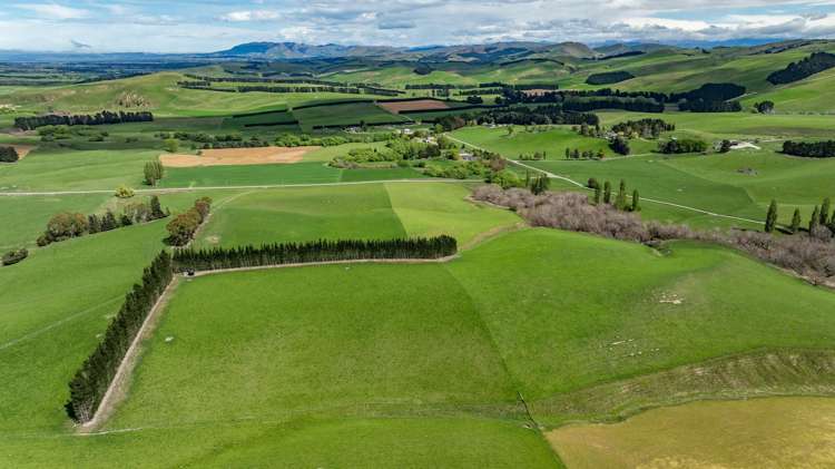 1443 Omihi Road Omihi_28