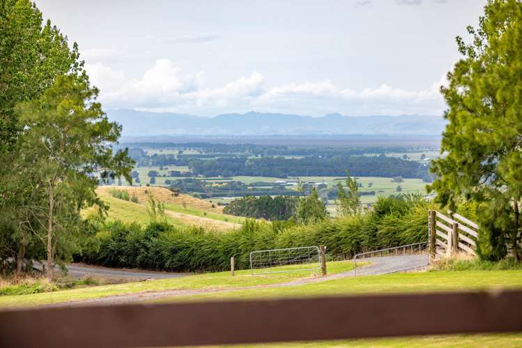 680H Quine Road Morrinsville_21