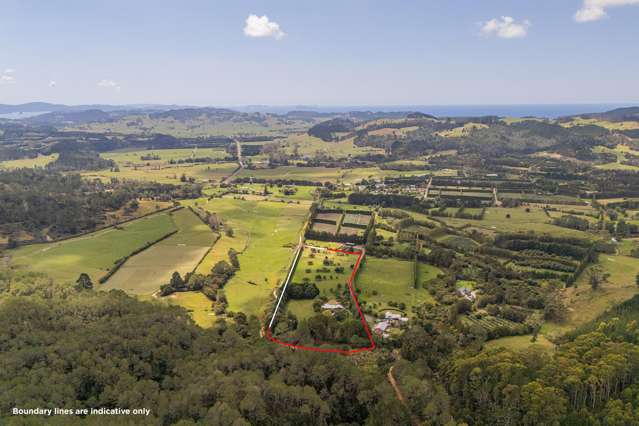 1043E Tairua-Whitianga Highway Whenuakite_1