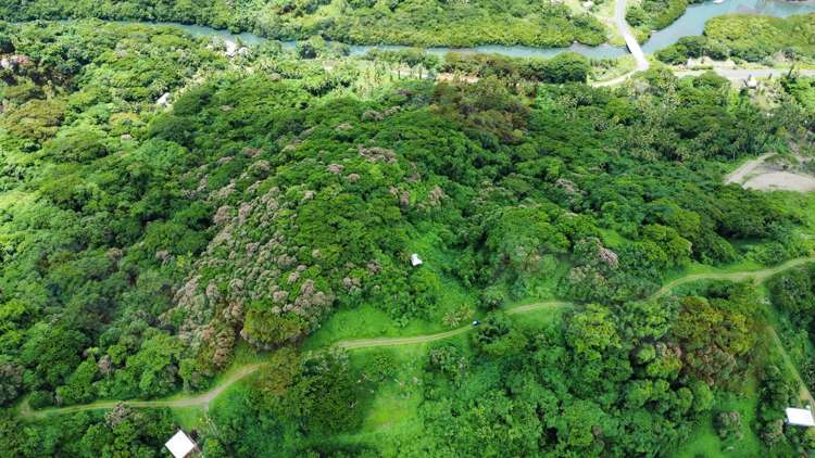 Address withheld Savusavu_9