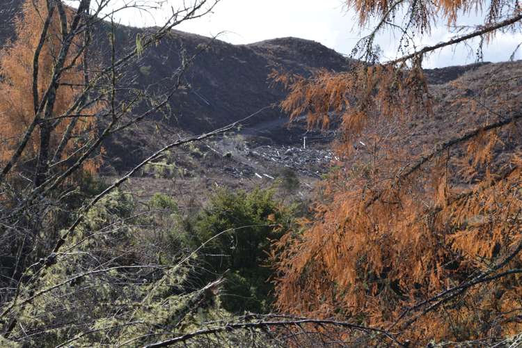 Ongarue Stream Road Waimiha-Ongarue_0