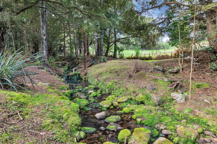 181 Great North Road Kamo_15