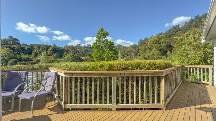 243 The Booms Avenue Thames_11