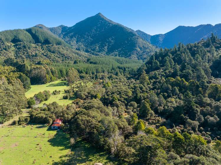 Lots 3 4 5 Nydia Bay Marlborough Sounds_49