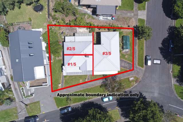 5 Lloyd Avenue Mount Albert_1