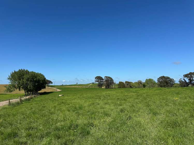 437 Tauhei Road Morrinsville_28