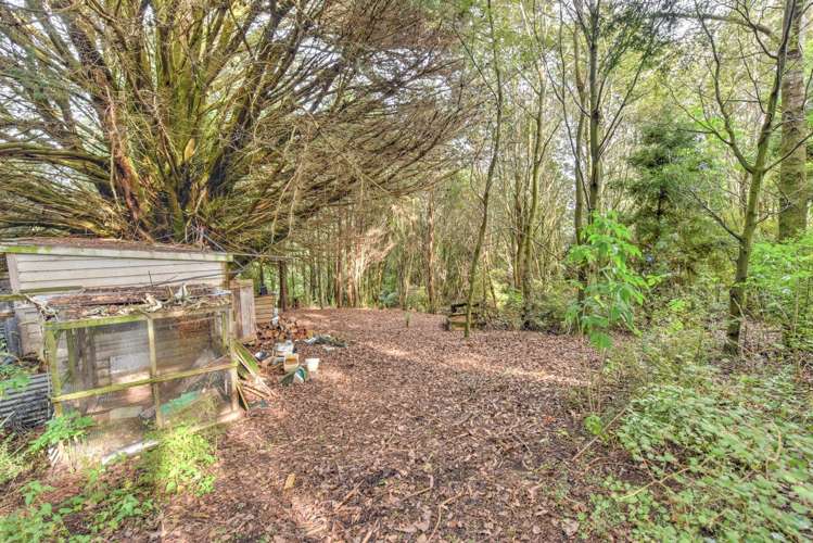 28 Mandeville Road Winton Surrounds_17