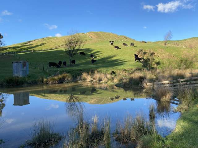 Appealing 9.6 hectare Woolshed bare land block