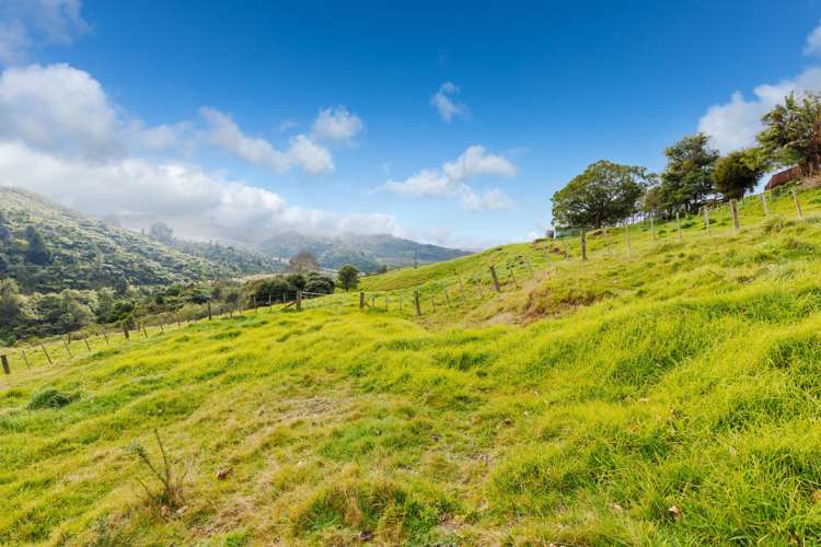 66 Hangapipi Road Huntly_30