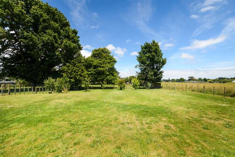 25 Flower Street Bulls_27