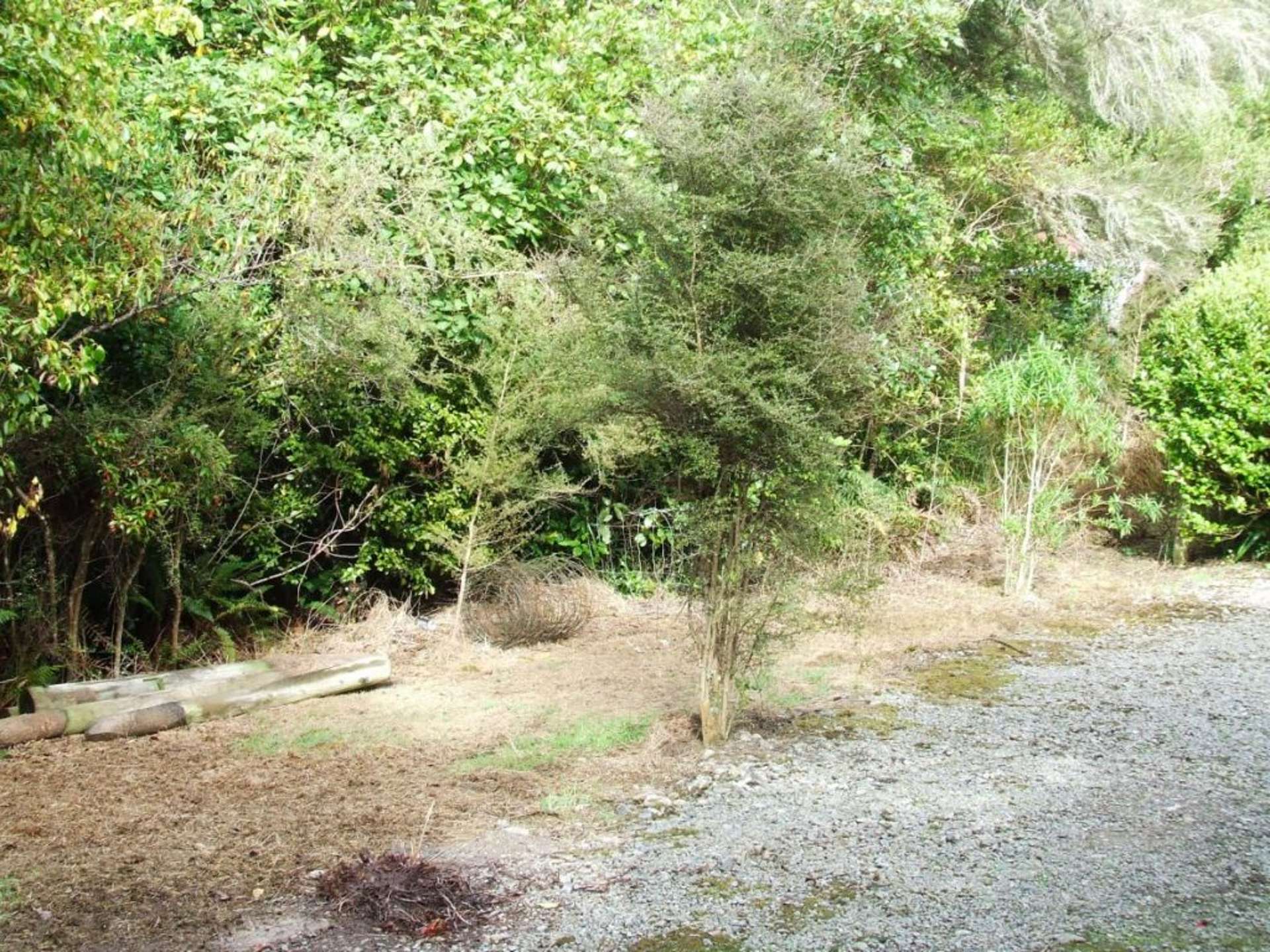 162 Blandswood Road Peel Forest_0