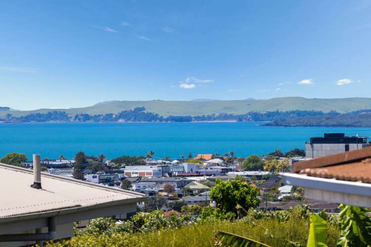 67D Forrest Hill Road Milford_13