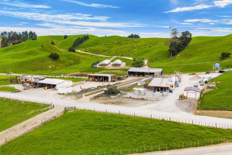 901 Pukehuia Road Tangiteroria_16