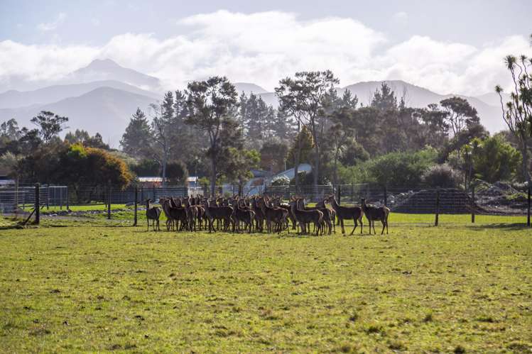 707 Norfolk Road Carterton_22