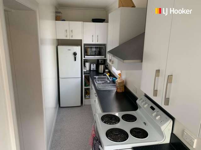 132 Frederick Street North Dunedin_1