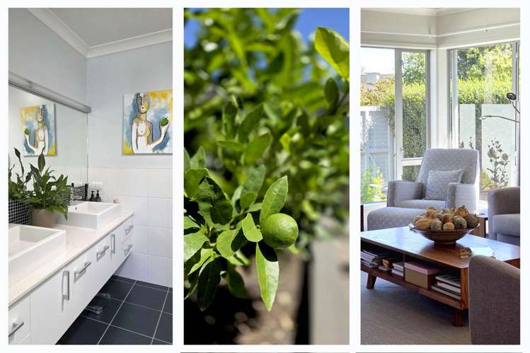 916b River Road Queenwood_16