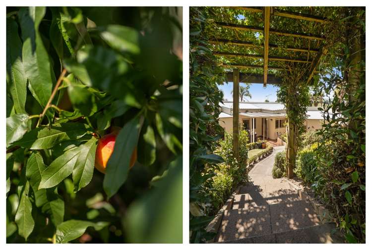 24 Sawmill Road Thames_21