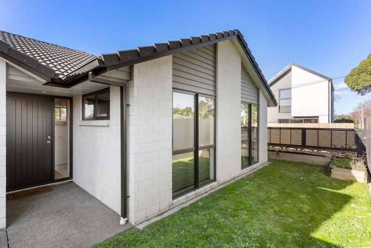 111a Seventeenth Avenue Tauranga South_1