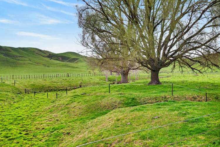 326 Kawera Road Pukehamoamoa_20