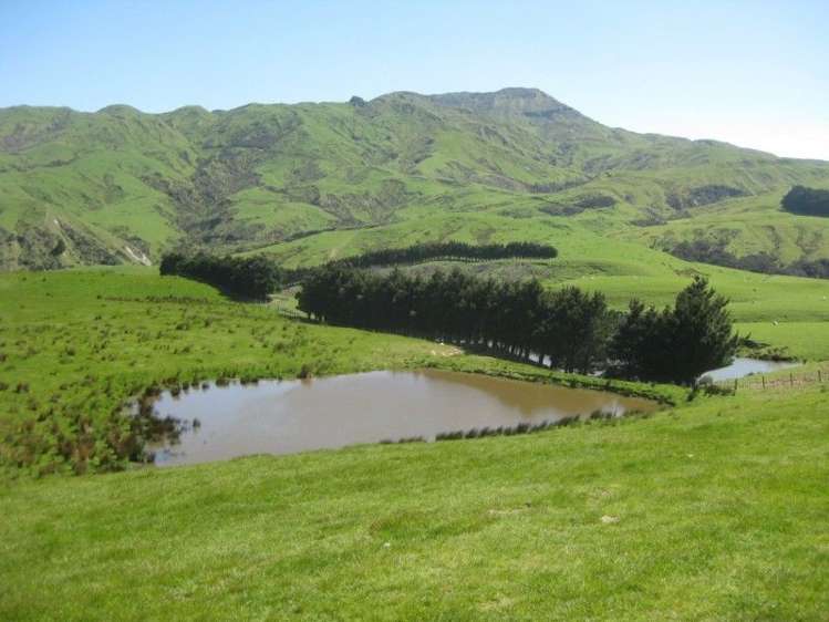 858 Oporae Road Waione_10