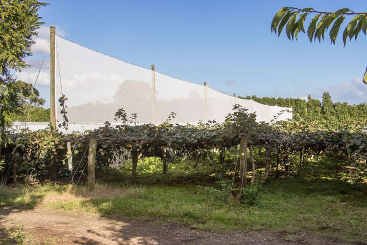 416 State Highway 2 Katikati_18