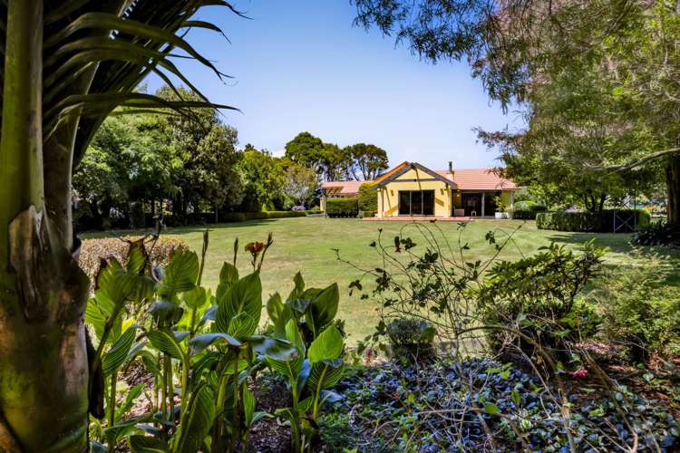 76 Wills Road Bell Block_34