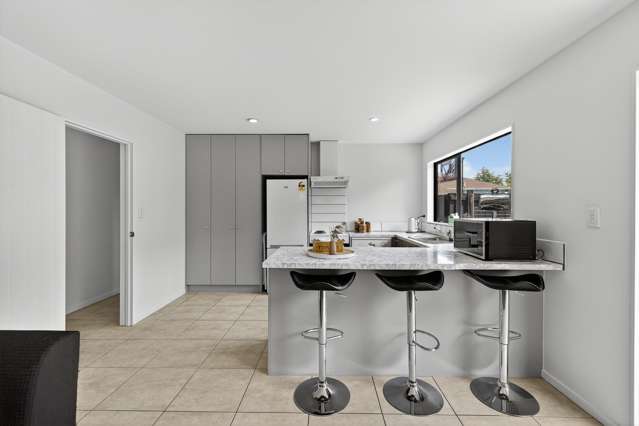 45b Surrey Street Linwood_2