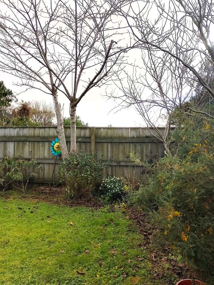 124A Rata Street Inglewood_16