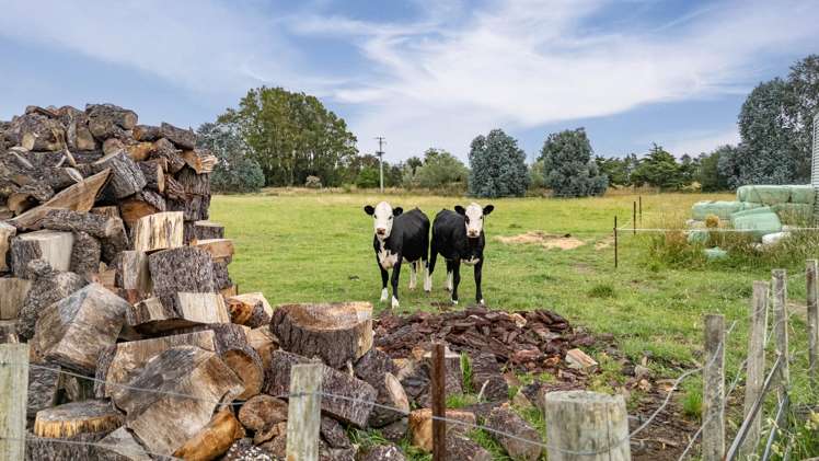 29 Carters Line Parkvale_20