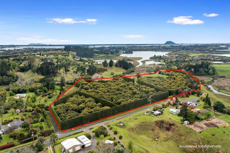 Old Highway Whakamarama_0